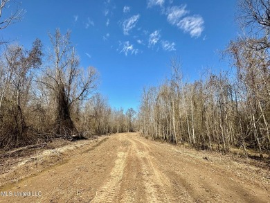 +/- 625 acre hardwood timber river bottom hunting tract in - photo 15