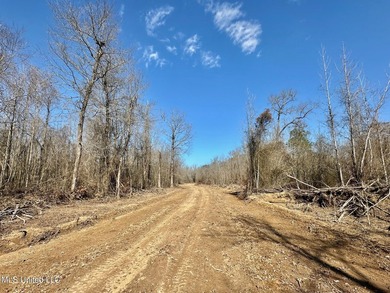 +/- 625 acre hardwood timber river bottom hunting tract in - photo 16