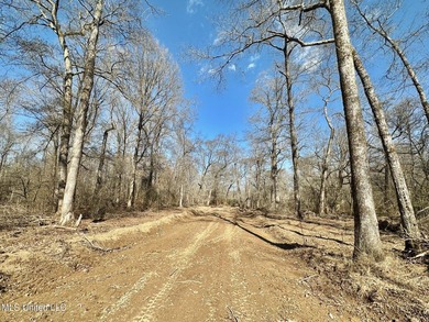 +/- 625 acre hardwood timber river bottom hunting tract in - photo 17