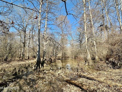 +/- 625 acre hardwood timber river bottom hunting tract in - photo 18