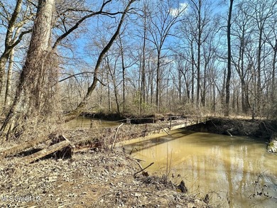 +/- 625 acre hardwood timber river bottom hunting tract in - photo 19