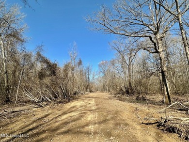 +/- 625 acre hardwood timber river bottom hunting tract in - photo 21