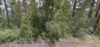 Flat lot 200 feet deep and goes from Seventh st to Sixth street - photo 2