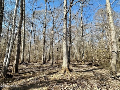 +/- 625 acre hardwood timber river bottom hunting tract in - photo 22