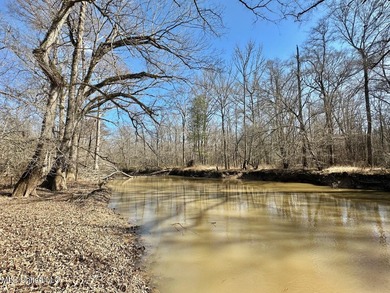 +/- 625 acre hardwood timber river bottom hunting tract in - photo 23