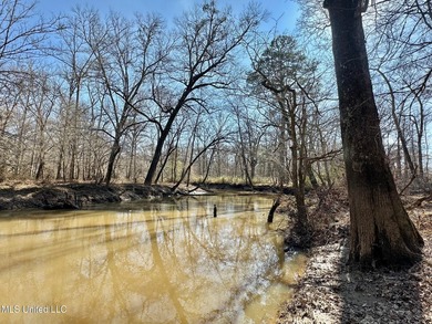 +/- 625 acre hardwood timber river bottom hunting tract in - photo 24