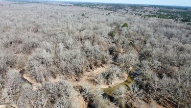 +/- 625 acre hardwood timber river bottom hunting tract in - photo 27
