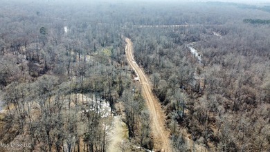 +/- 625 acre hardwood timber river bottom hunting tract in - photo 30