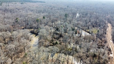 +/- 625 acre hardwood timber river bottom hunting tract in - photo 31