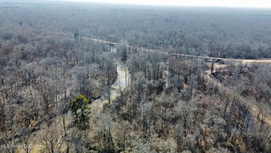 +/- 625 acre hardwood timber river bottom hunting tract in - photo 33