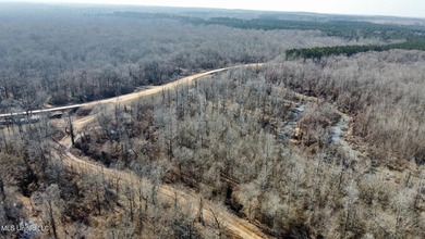 +/- 625 acre hardwood timber river bottom hunting tract in - photo 34