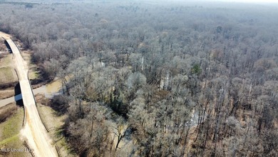 +/- 625 acre hardwood timber river bottom hunting tract in - photo 37