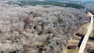+/- 625 acre hardwood timber river bottom hunting tract in - photo 38