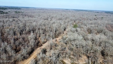 +/- 625 acre hardwood timber river bottom hunting tract in - photo 39