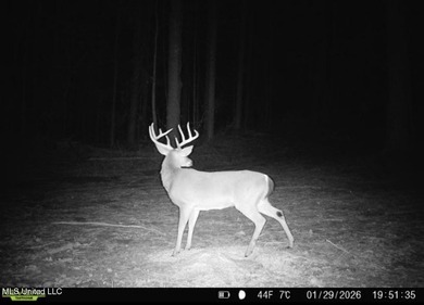 +/- 625 acre hardwood timber river bottom hunting tract in - photo 47