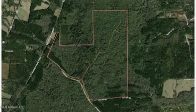 +/- 625 acre hardwood timber river bottom hunting tract in - photo 50
