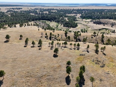 Tower Lookout Ranch offers 494+/- acres of productive pasture - photo 3