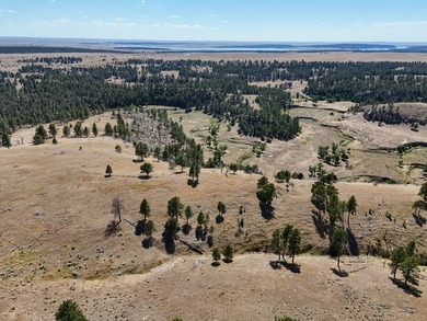 Tower Lookout Ranch offers 494+/- acres of productive pasture - photo 4