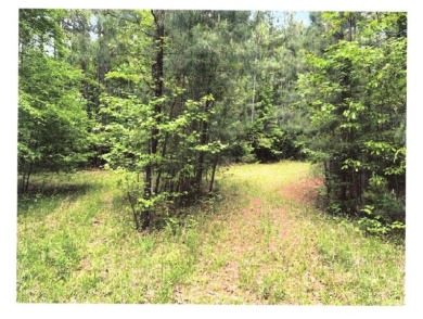 17.837 acres of vacant land - photo 4