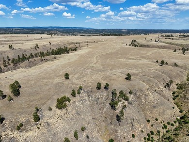Tower Lookout Ranch offers 494+/- acres of productive pasture - photo 6