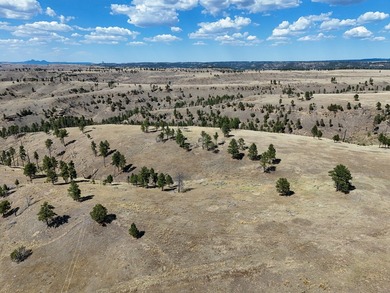 Tower Lookout Ranch offers 494+/- acres of productive pasture - photo 7