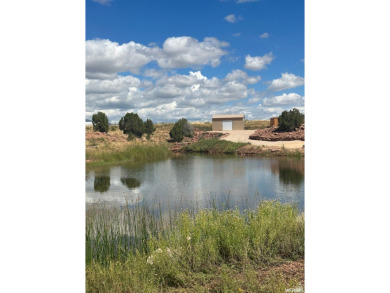 Lake Acreage For Sale in Fruitland, Utah
