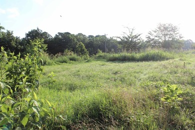 Midwest Land Group is pleased to present Tract 2 of 24 - photo 21