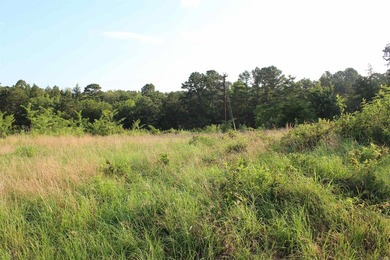 Midwest Land Group is pleased to present Tract 2 of 24 - photo 22