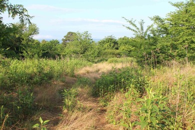 Midwest Land Group is pleased to present Tract 2 of 24 - photo 30