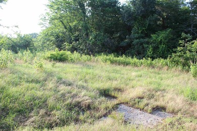 Midwest Land Group is pleased to present Tract 2 of 24 - photo 31