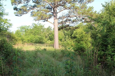 Midwest Land Group is pleased to present Tract 2 of 24 - photo 34