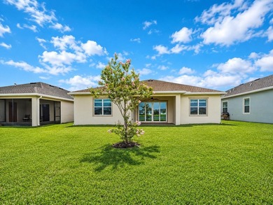 Welcome home to Veranda Preserve, one of Port St. Lucie's - photo 43