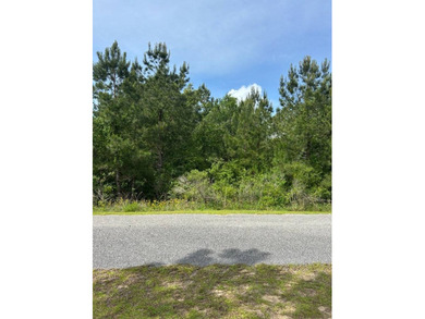 Lake Juniper Lot For Sale in Brewton Alabama