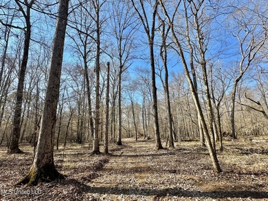 +/- 438 acre hardwood timber river bottom hunting tract in - photo 12