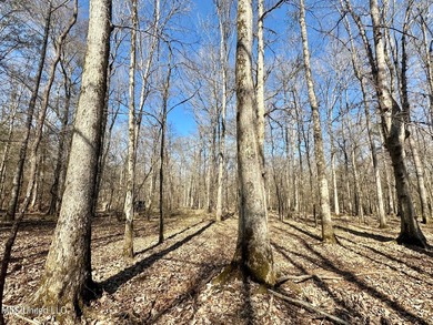 +/- 438 acre hardwood timber river bottom hunting tract in - photo 13