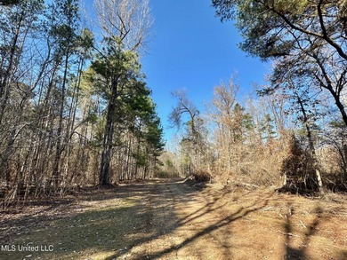 +/- 438 acre hardwood timber river bottom hunting tract in - photo 14