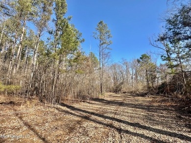 +/- 438 acre hardwood timber river bottom hunting tract in - photo 15