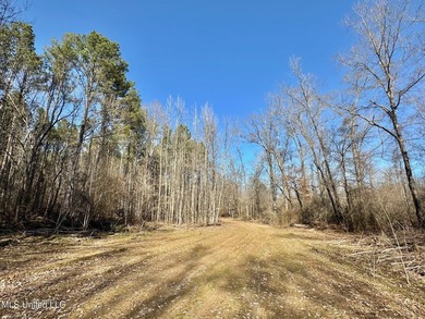 +/- 438 acre hardwood timber river bottom hunting tract in - photo 16