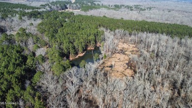 +/- 438 acre hardwood timber river bottom hunting tract in - photo 18