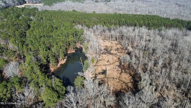 +/- 438 acre hardwood timber river bottom hunting tract in - photo 19