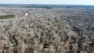 +/- 438 acre hardwood timber river bottom hunting tract in - photo 20