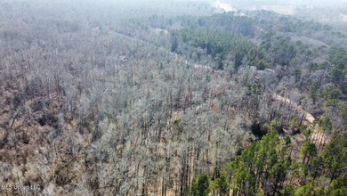 +/- 438 acre hardwood timber river bottom hunting tract in - photo 21