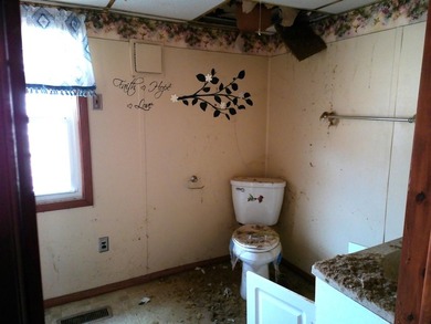 Your Lake view spring project is ready and waiting. This 3 - photo 21