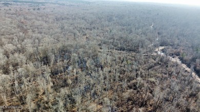 +/- 438 acre hardwood timber river bottom hunting tract in - photo 22