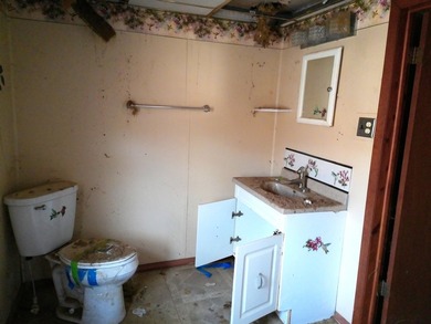 Your Lake view spring project is ready and waiting. This 3 - photo 22