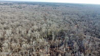 +/- 438 acre hardwood timber river bottom hunting tract in - photo 23