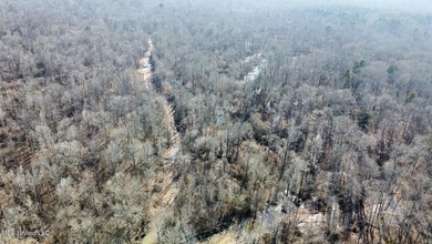 +/- 438 acre hardwood timber river bottom hunting tract in - photo 24