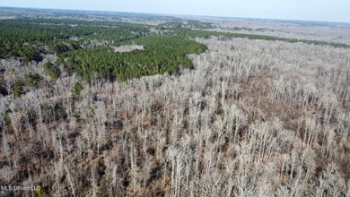 +/- 438 acre hardwood timber river bottom hunting tract in - photo 25