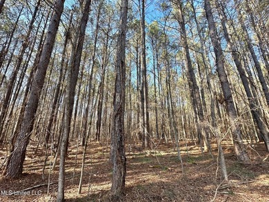 +/- 438 acre hardwood timber river bottom hunting tract in - photo 27