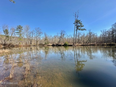 +/- 438 acre hardwood timber river bottom hunting tract in - photo 31
